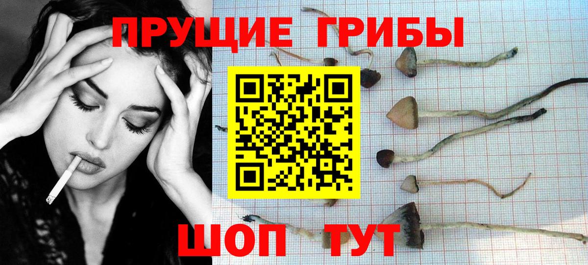 Галлюциногенные грибы MAGIC MUSHROOMS Нягань